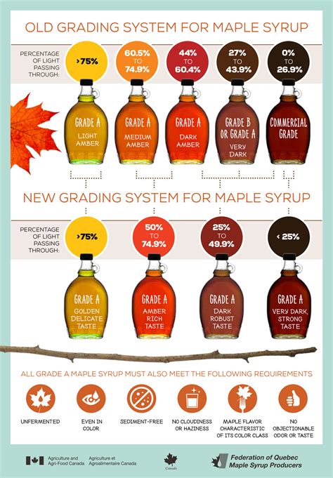 maple syrup sugar content chart